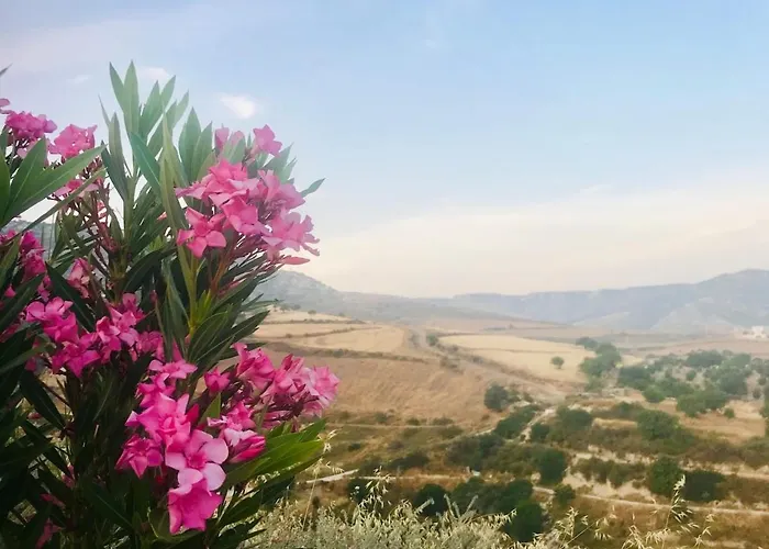 Panoramic Holidays Daire